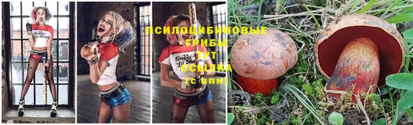 а пвп мука Алзамай