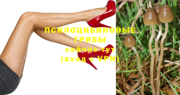 ECSTASY Алексеевка